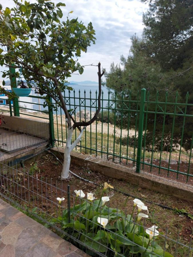 Villa Luiza Sarandë Esterno foto